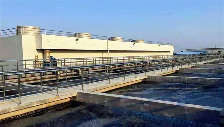 環?；?>
            <p id=